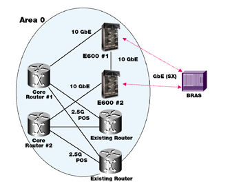 fig2