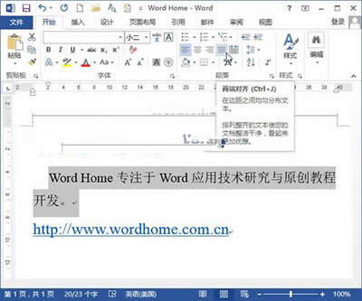 Word2013