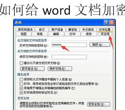 word2003