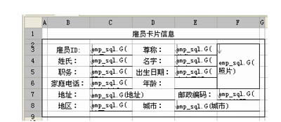 FineReportͼϸ̳֮Զ_칫