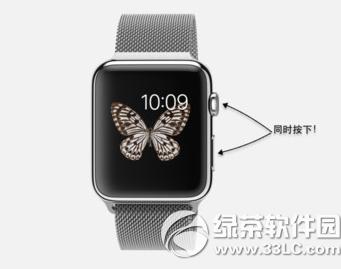 apple watch apple watch취