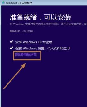 win10רҵô