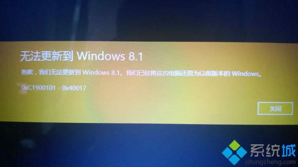 ޷µWindows8.1