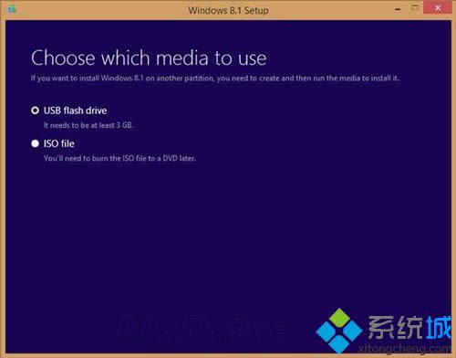 ϵͳװ win8.1