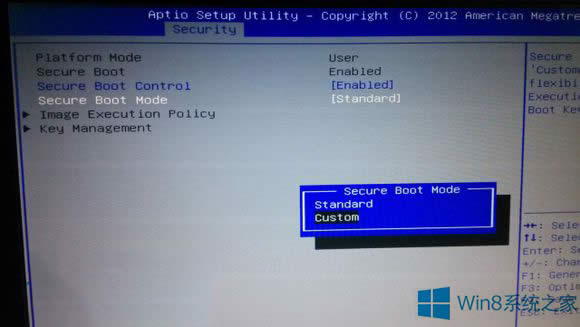 ȥWin8.1ϵͳsecure bootδȷˮӡ