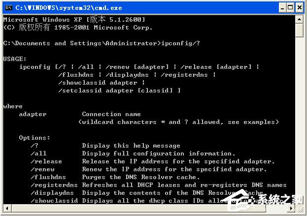 WinXPϵͳipconfigã