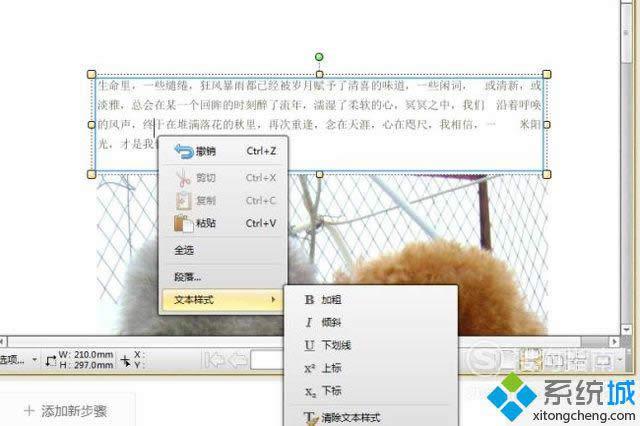 windowsxpϵͳPDFĵе