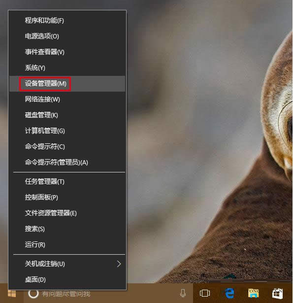 Win10ϵͳ羭ô죿